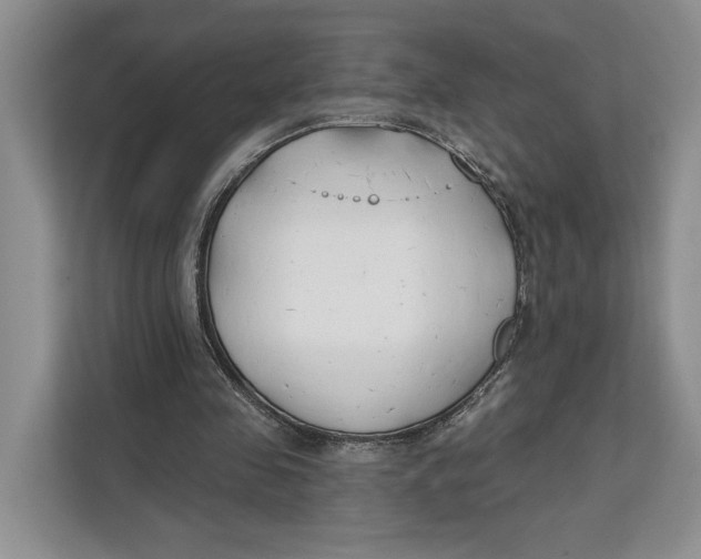 X0000111610341200908071335