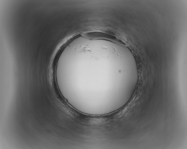 X0000111610342200908071335
