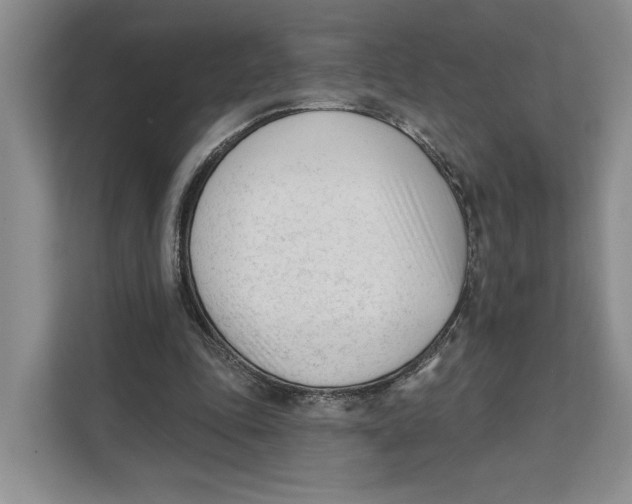 X0000111610343200908071335