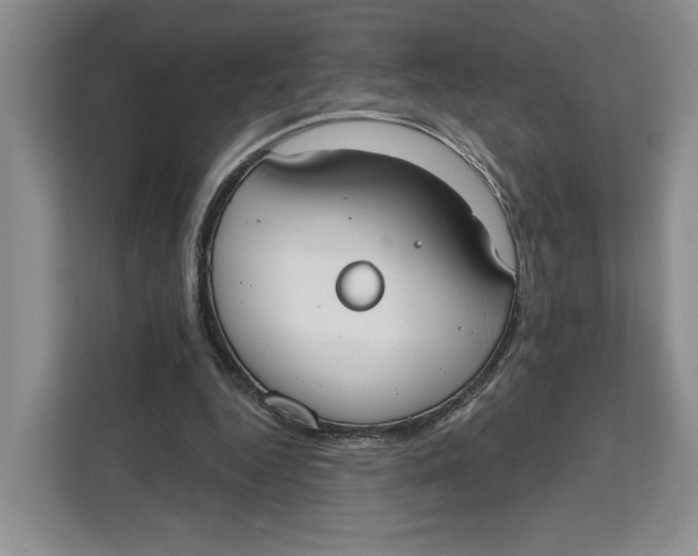 X0000111610344200908071335