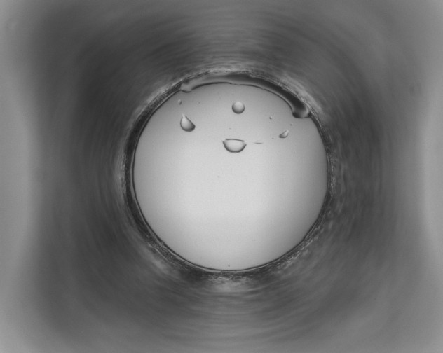 X0000111610346200908071335