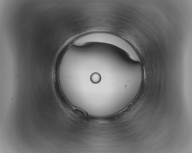 X0000111610348200908071335