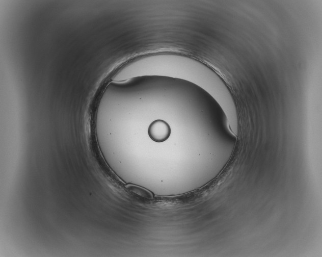 X0000111610350200908071335