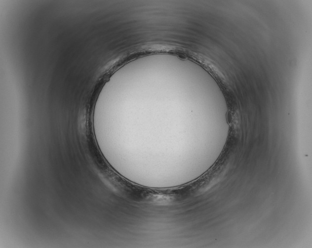 X0000111610352200908071335