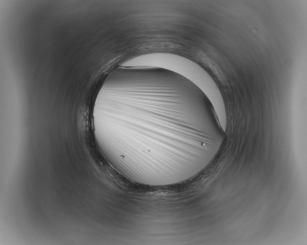 X0000111610356200908071335