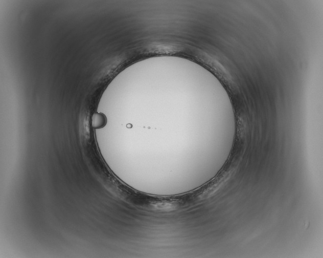 X0000111610358200908071335