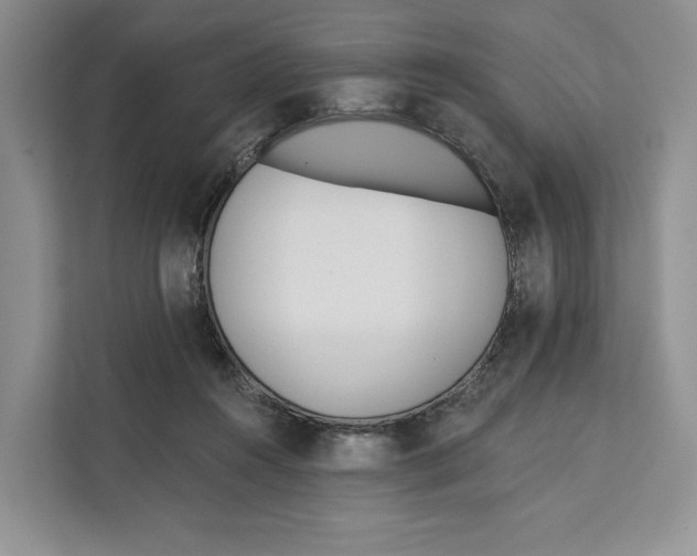 X0000111610360200908071335