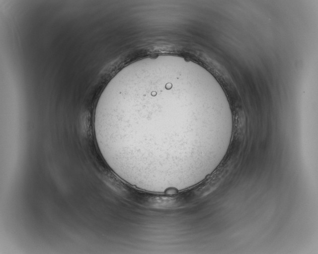 X0000111610361200908071335
