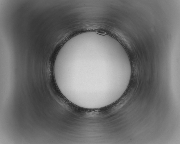 X0000111610362200908071335