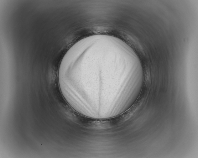 X0000111610367200908071335