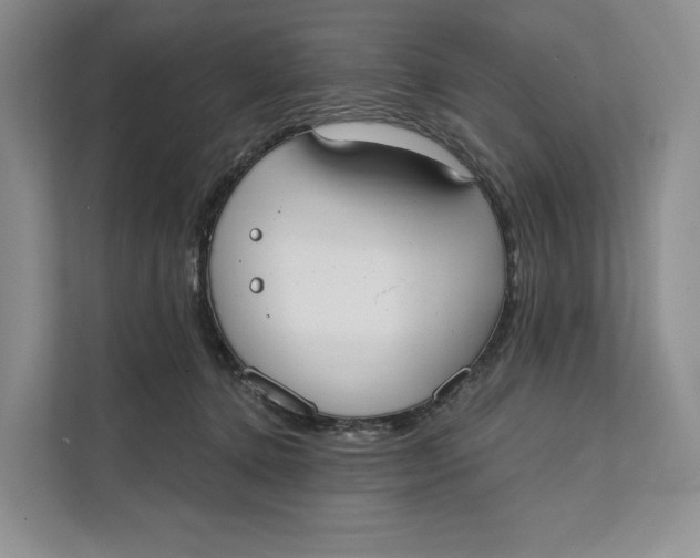 X0000111610368200908071335