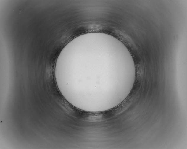 X0000111610369200908071335