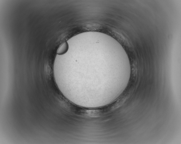 X0000111610371200908071335