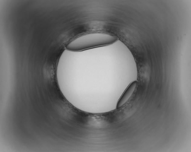 X0000111610372200908071335