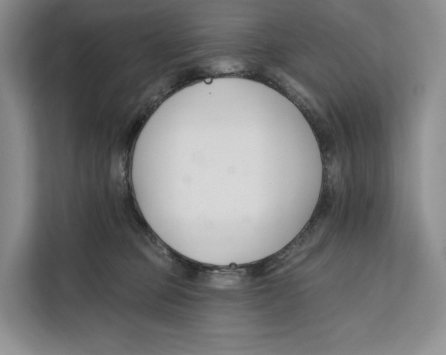 X0000111610373200908071335