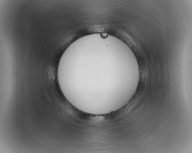 X0000111610374200908071335