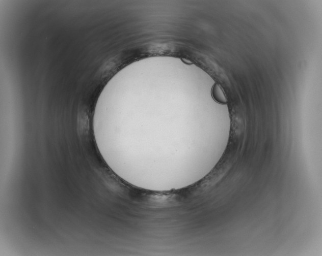 X0000111610375200908071335
