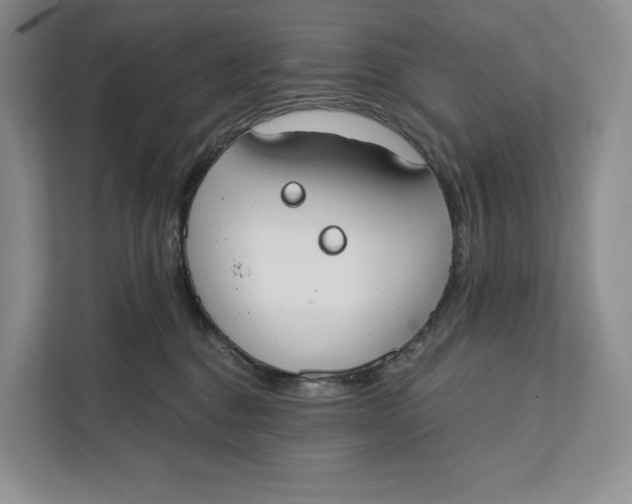 X0000111610376200908071335