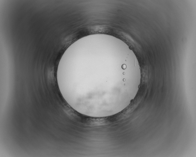 X0000111610377200908071335