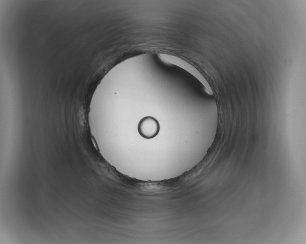 X0000111610380200908071335