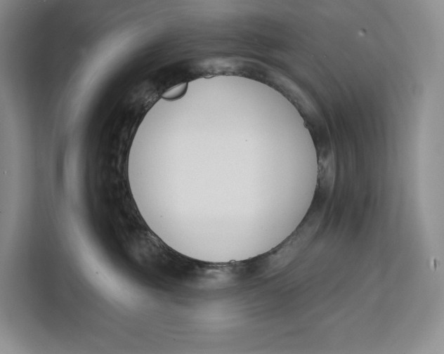 X0000111610381200908071335