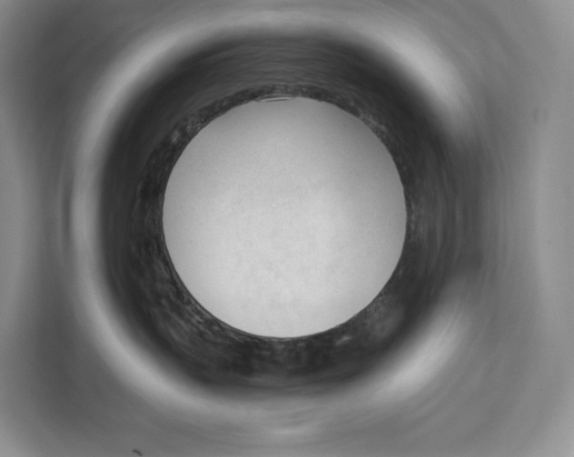 X0000111610383200908071335