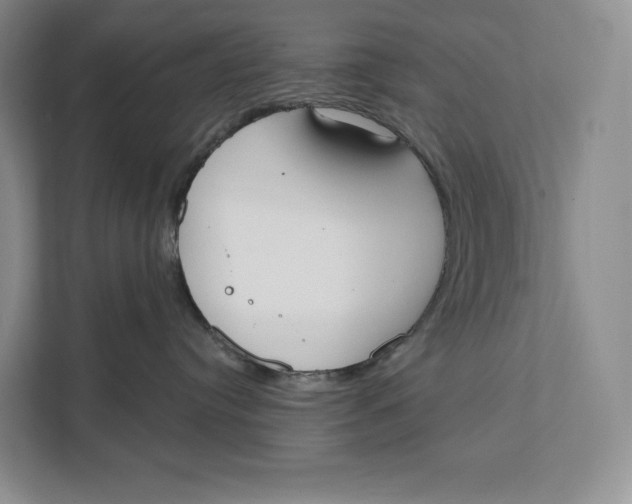 X0000111610384200908071336