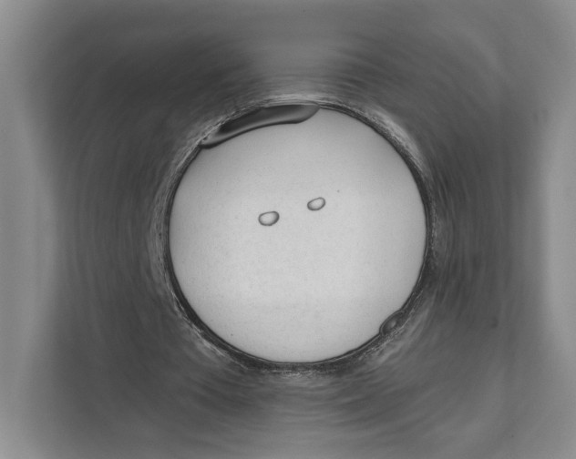 X0000111610385200908071335