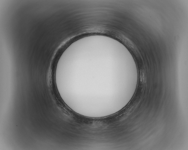 X0000111610388200908071335