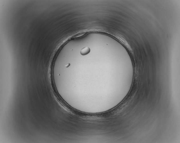 X0000111610389200908071335