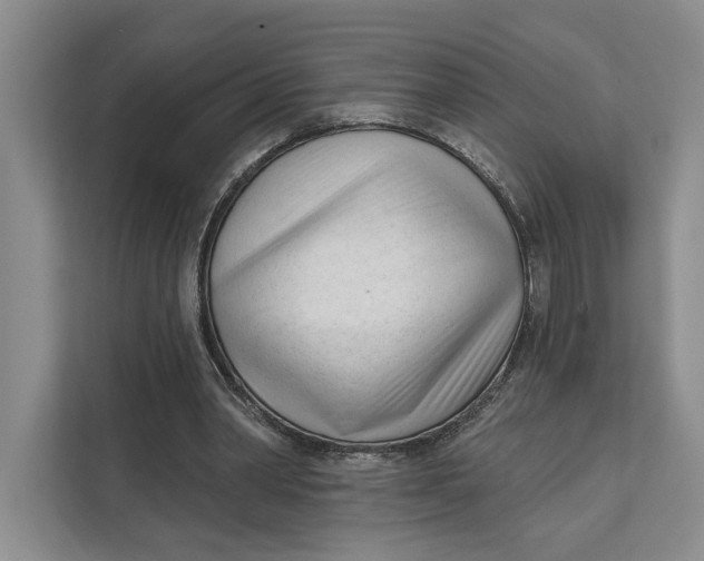 X0000111610390200908071335