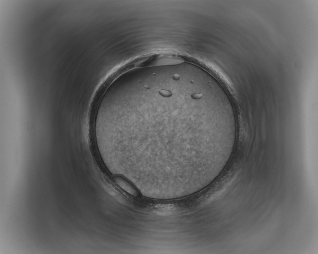 X0000111610391200908071335
