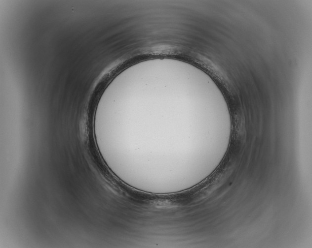 X0000111610392200908071335