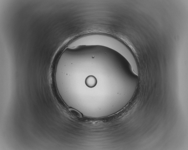 X0000111610395200908071335