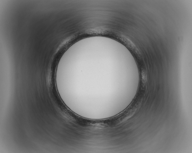 X0000111610396200908071335