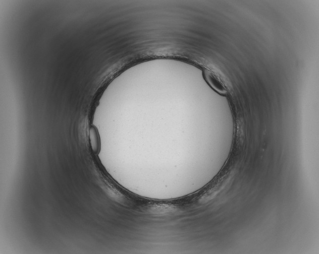 X0000111610397200908071335