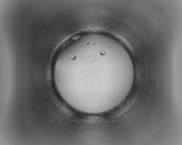X0000111610399200908071335