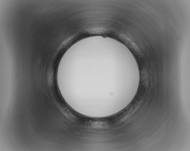 X0000111610400200908071335