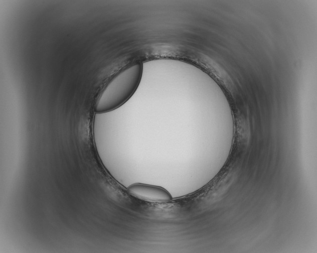 X0000111610401200908071335
