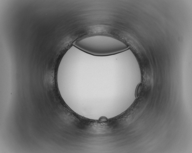X0000111610403200908071335