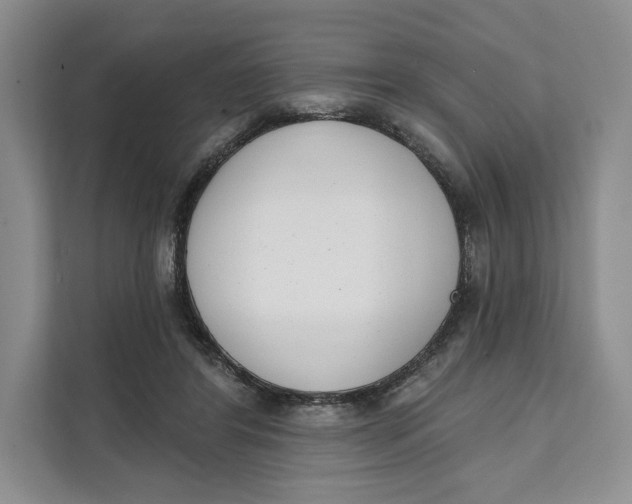 X0000111610404200908071335