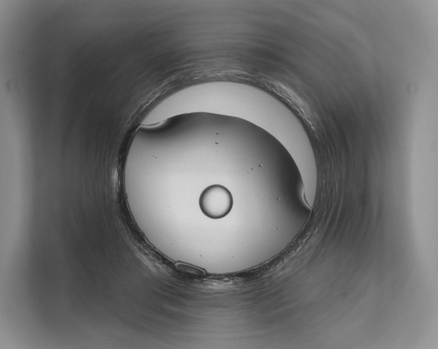 X0000111610405200908071335