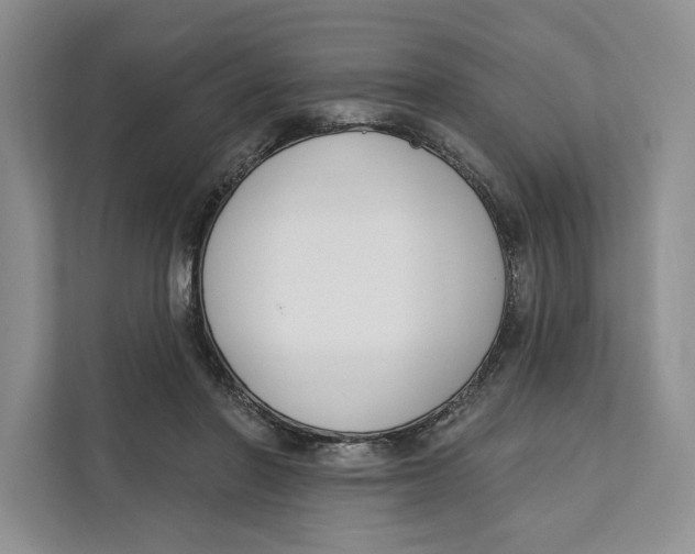 X0000111610406200908071335