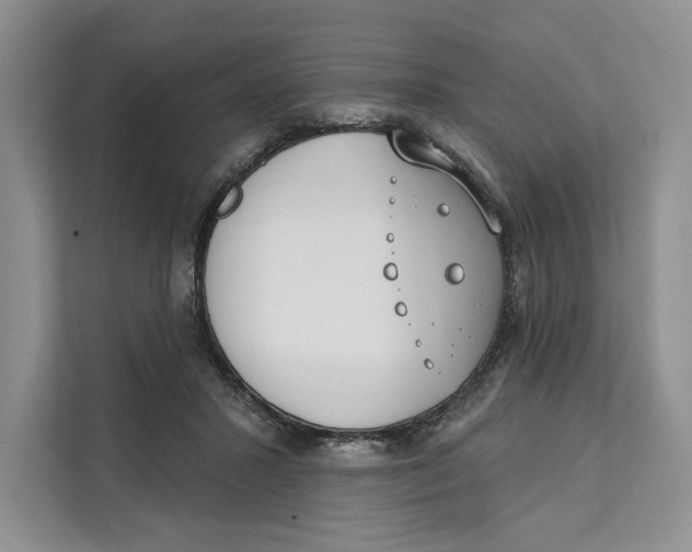 X0000111610407200908071335