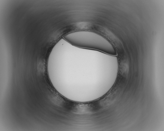 X0000111610413200908071335