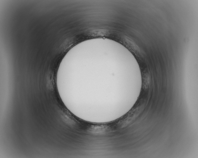 X0000111610414200908071335