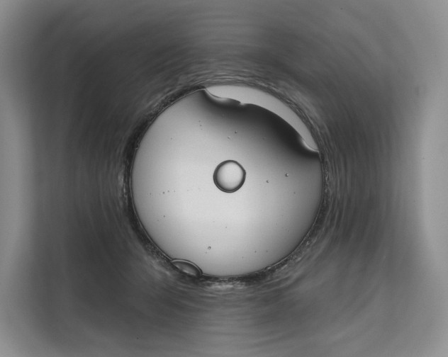 X0000111610415200908071334
