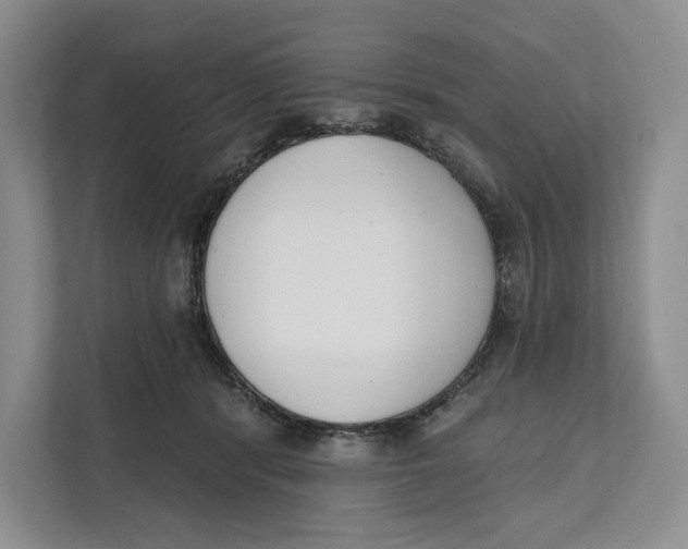 X0000111610416200908071334