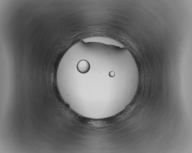 X0000111610417200908071334