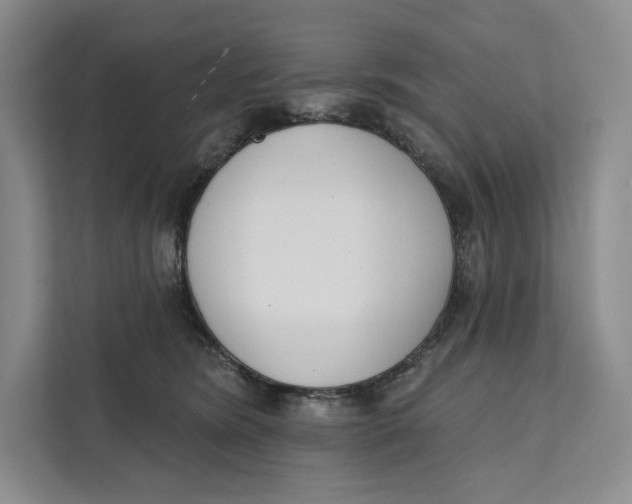 X0000111610420200908071334